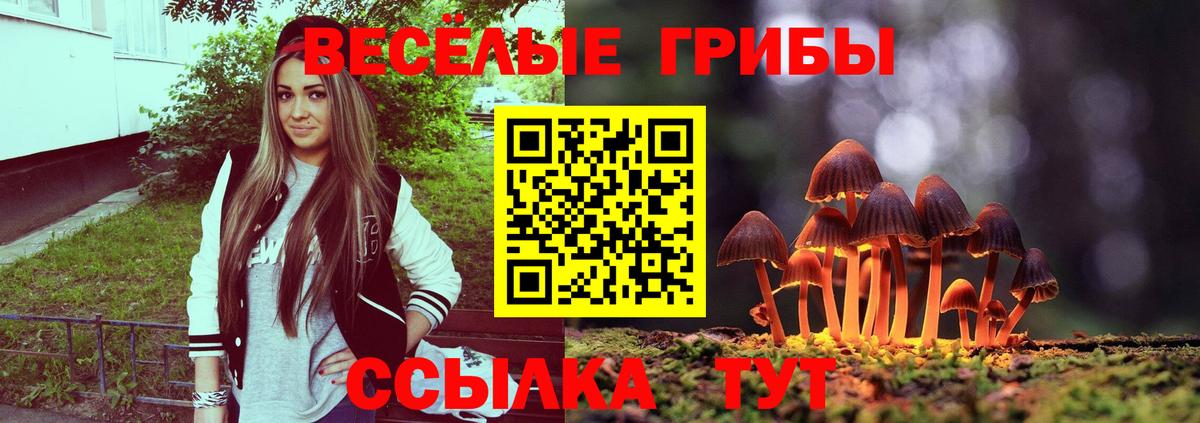 Галлюциногенные грибы Cubensis Белогорск