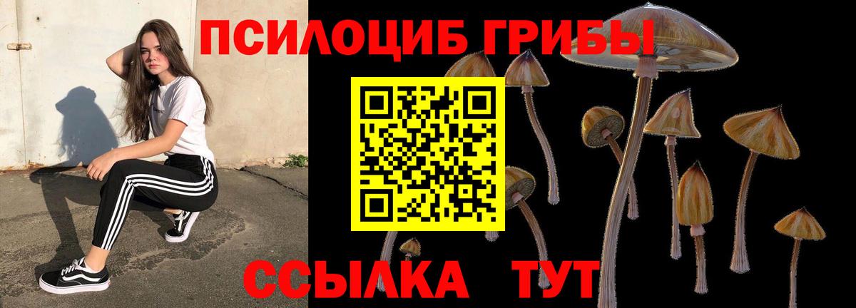 Псилоцибиновые грибы мицелий  Галлюциногенные грибы Psilocybine cubensis  Вход с VPN  Белогорск 